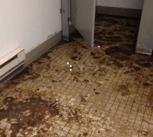 Sewage backup in bathroom after clog